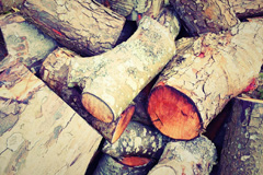 Throcking wood burning boiler costs